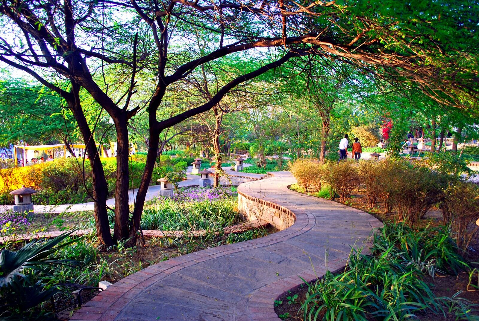 Delhi Park